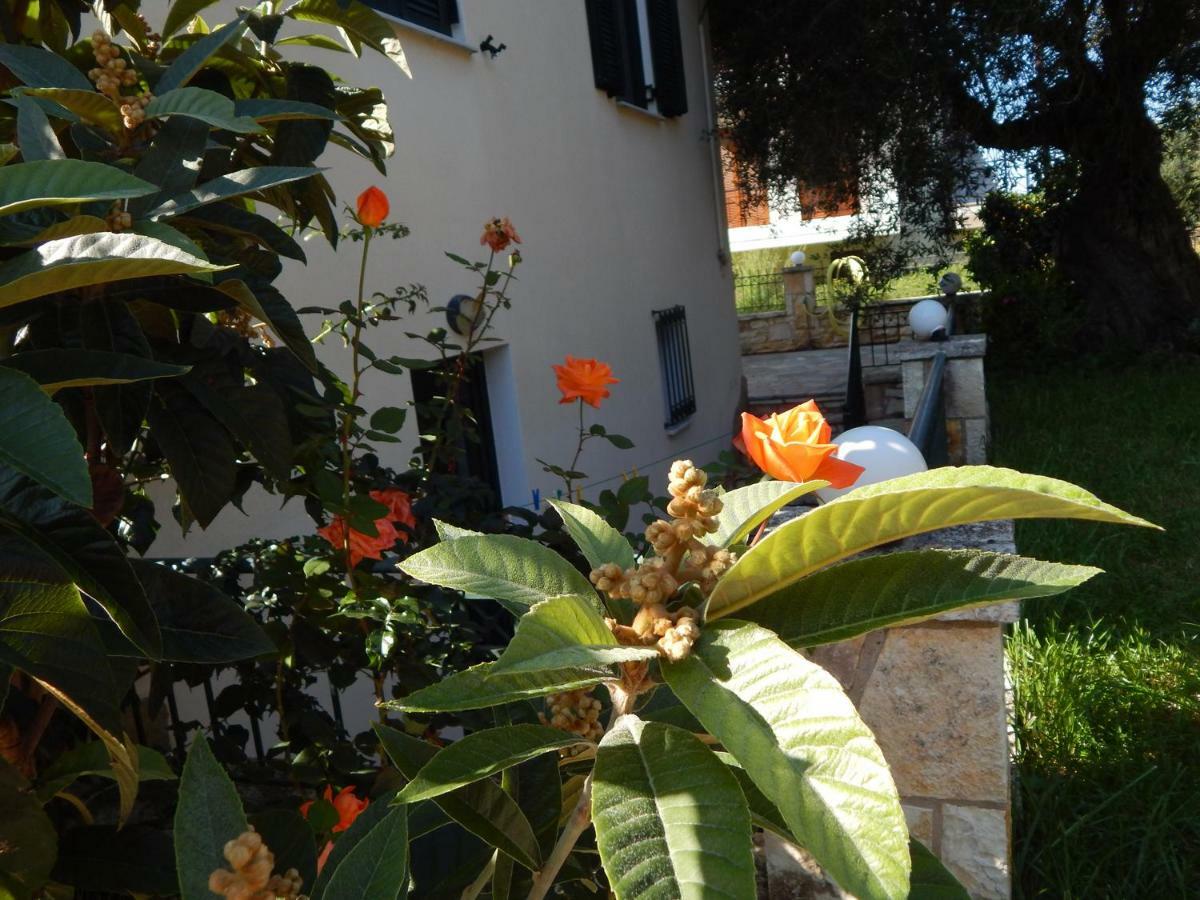 Villa Dimitra Sivota  Exterior photo